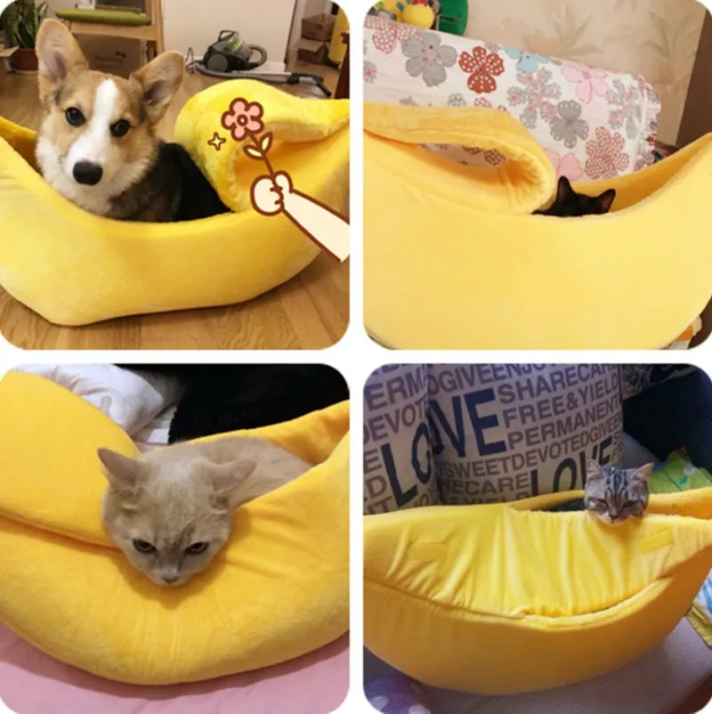 Pawfect Banana Pet Oasis