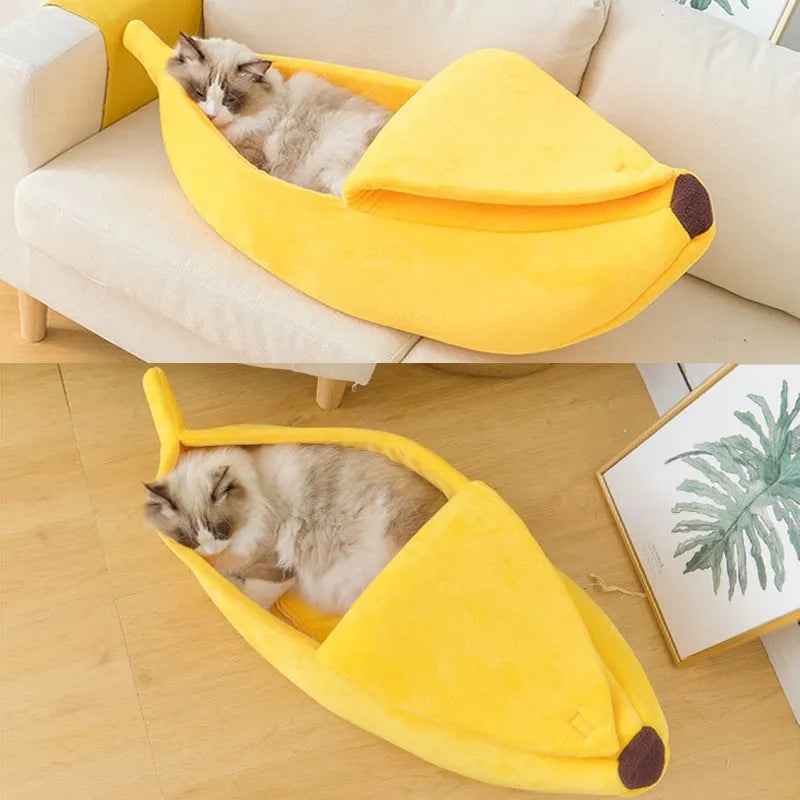 Pawfect Banana Pet Oasis