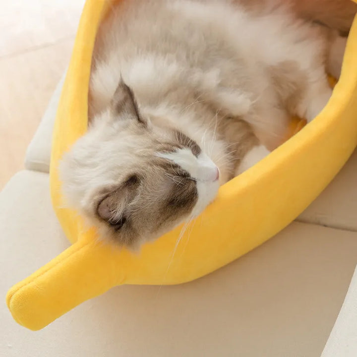 Pawfect Banana Pet Oasis